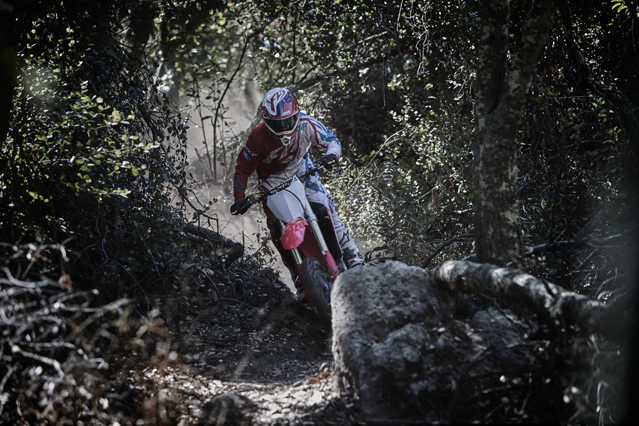 CRF450RX_Action 1_resize.jpg
