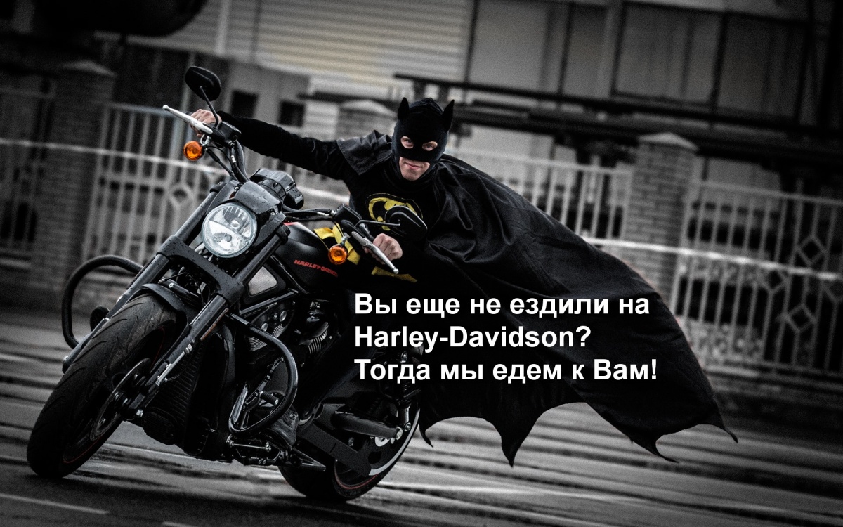 Harley 1.jpg