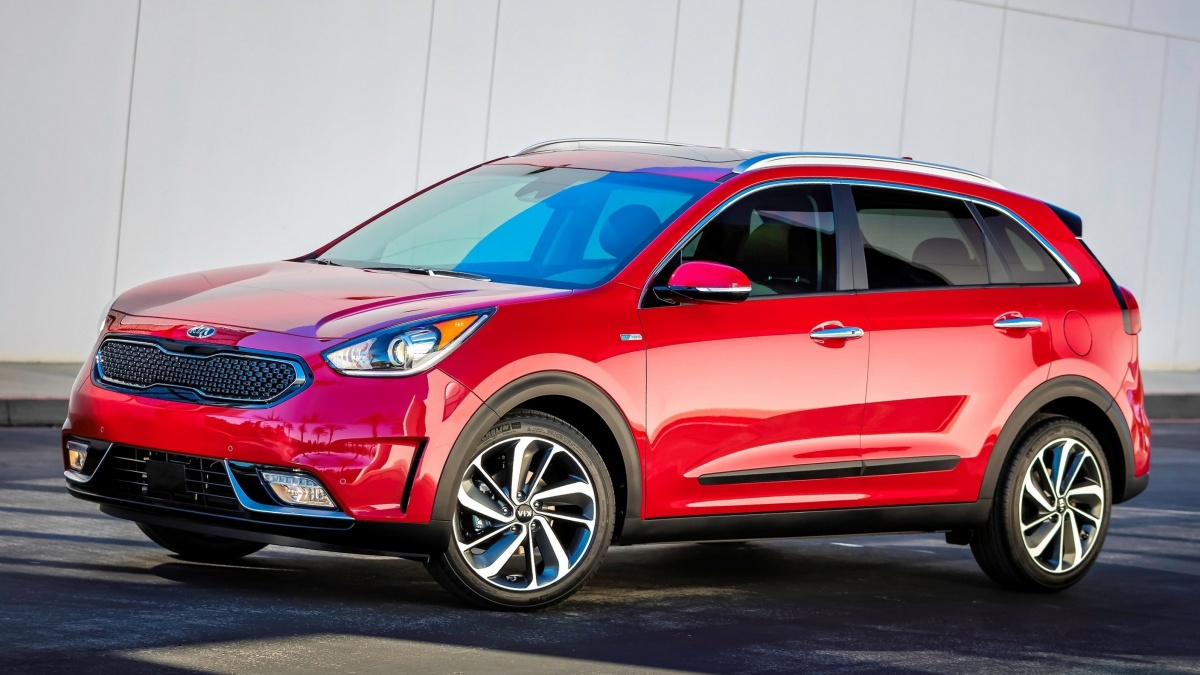 11186_2017_Niro.jpg