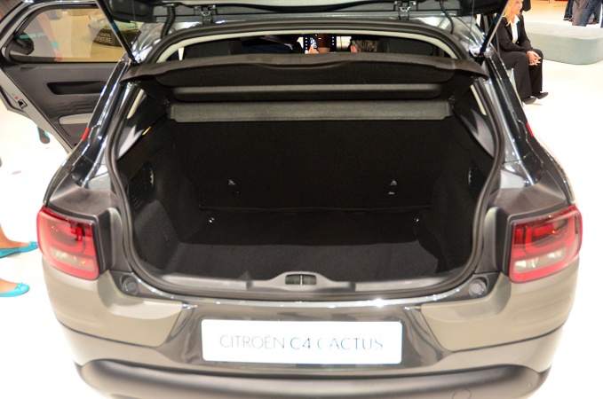 Багажник C4 Cactus