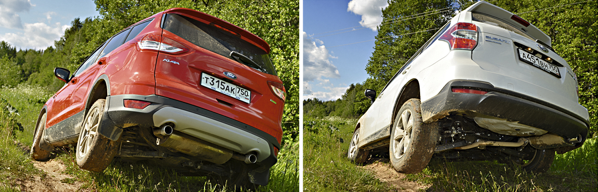 Test_Kuga_Forester_15_.jpg Test_Kuga_Forester_15_.jpg
