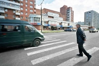 "Зебры" будут светиться