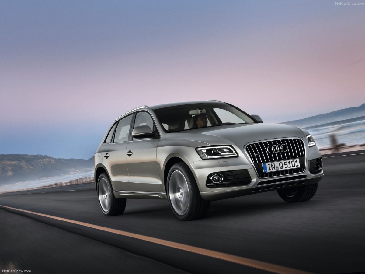 Audi Q5 (2008-2017 гг.): Дизель будет понадежней