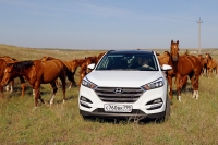 На Hyundai Tucson по Нижнему Поволжью: Все звезды мира