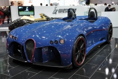Женева-2011: Weismann Spyder