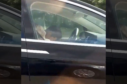 Еще один водитель Tesla заснул за рулем на большой скорости (видео)