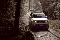 Jeep назвал цену Renegade